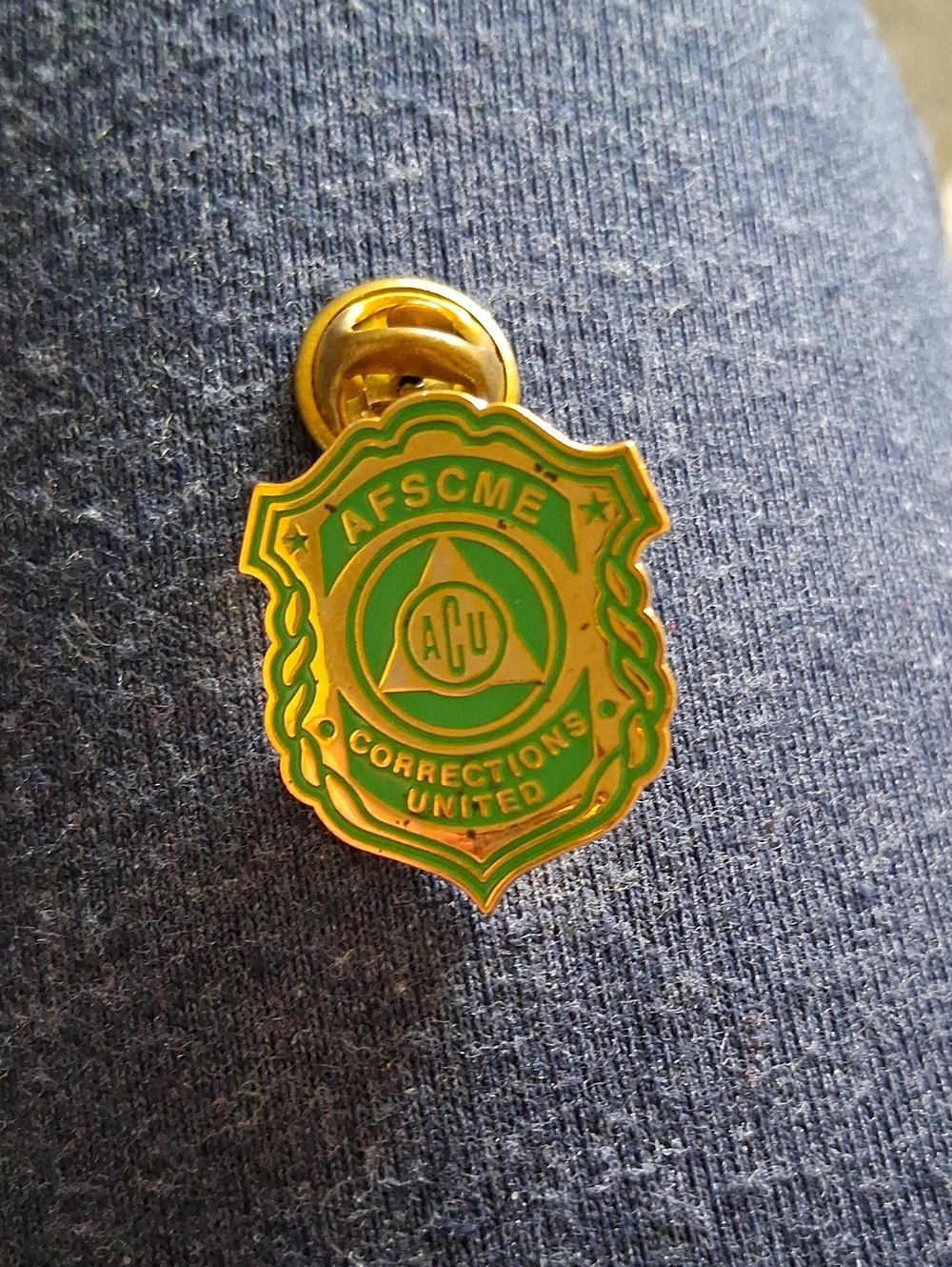 Corrections United Gold & Green Shield Pin